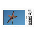 Starfish in the Sky postage