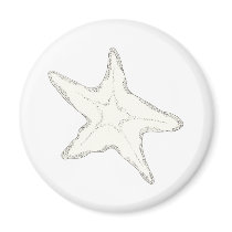 Starfish Magnet by ginyhogan Starfish Magnet