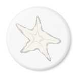 Starfish Magnet