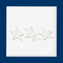Starfish Magnet magnets