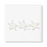 Starfish Magnet