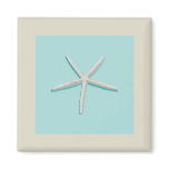 Starfish Magnet