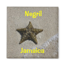 Starfish magnets by coolnegril Starfish magnets