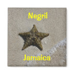 Starfish Refrigerator Magnets