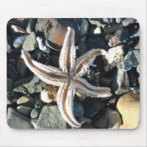 Starfish mousepads