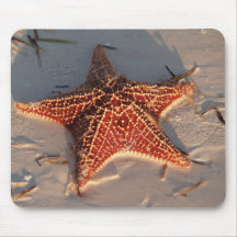 Starfish Mousepads