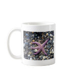starfish mugs