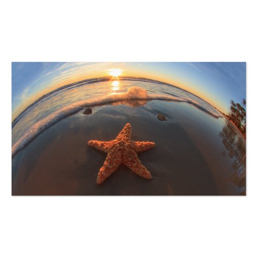 Starfish on Beach at Sunset Business Card Templates (back side)