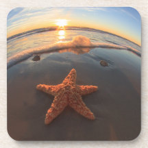 Starfish on Beach at Sunset Drink Coasters