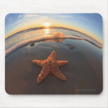 Starfish on Beach at Sunset Mouse Pad
