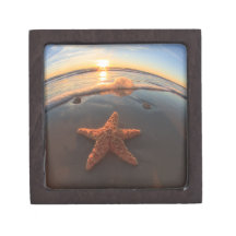 Starfish on Beach at Sunset Premium Gift Box