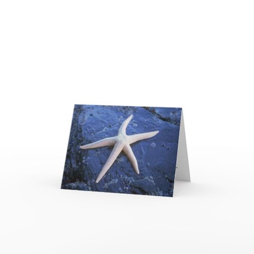 Starfish On Lava Rock card
