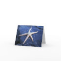 Starfish On Lava Rock cards