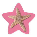 Starfish on pantone Honeysuckle 2011 Stickers