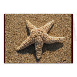 Starfish on the beach cards