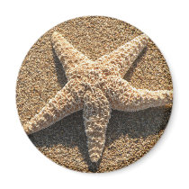 Starfish on the beach fridge magnet