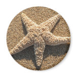 Starfish on the beach fridge magnet