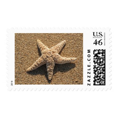 Starfish on the beach postage stamps