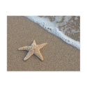 Starfish on the beach postcard