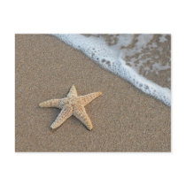 Starfish on the beach postcard