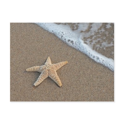 Starfish on the beach postcard
