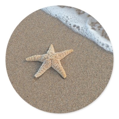 Starfish on the beach sticker