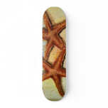 starfish painted skateboard