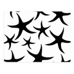 Starfish Pattern in Black and White. Post Card