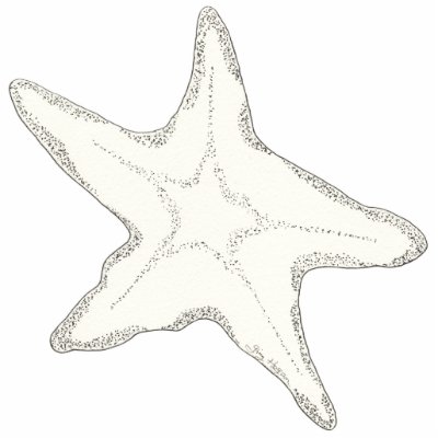 Starfish Photo Sculpture by ginyhogan