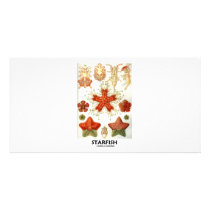 Starfish Custom Photo Card
