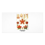 Starfish Custom Photo Card