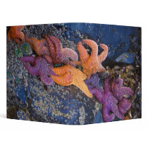 Starfish Pisaster Ochraceus & Ochre Sea Star Vinyl Binders