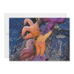Starfish Pisaster Ochraceus &amp; Ochre Sea Star Personalized Announcement