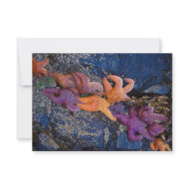 Starfish Pisaster Ochraceus & Ochre Sea Star Invitation
