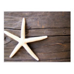 Starfish Post Card