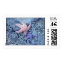 Starfish postage