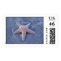 Starfish postage