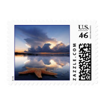 Starfish postage
