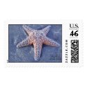 Starfish postage by ggbythebay Starfish postage