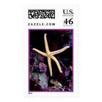 Starfish postage