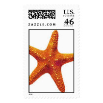 starfish postage by AKJFCATS starfish postage