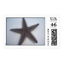 Starfish postage