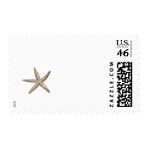 starfish postage