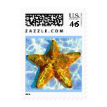 Starfish Postage small postage