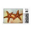 starfish postage stamp