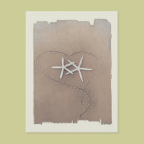 Starfish Postcard postcards