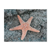 Starfish Postcard by screwballgraphics Starfish Postcard