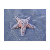 Starfish postcards by ggbythebay Starfish postcards