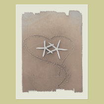 Starfish Postcard postcards