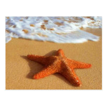 Starfish Postcard